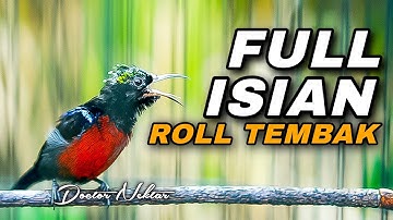 KONIN GACOR FULL ISIAN ROLL TEMBAK COCOK BUAT PANCINGAN DAN MASTERAN KOLIBRI NINJA BAHAN TROTOLAN