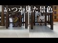 いつか見た景色 | 16歳、ハイパーシニア犬スーちゃんの1日…