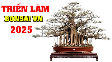 Những Cây Cảnh Bonsai Đẹp Nhất Tại Triệu Điền Long Biên 2025