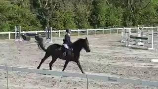 Ruby de Reve 2nd Ladies 1.10m