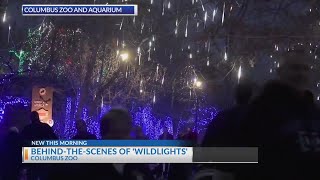 Behind the scenes of Wildlights at the Columbus Zoo