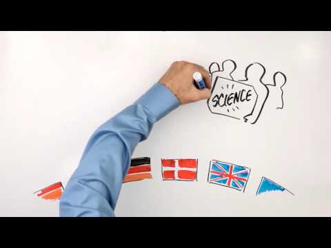 How to End Overfishing in the EU | A Whiteboard Explainer