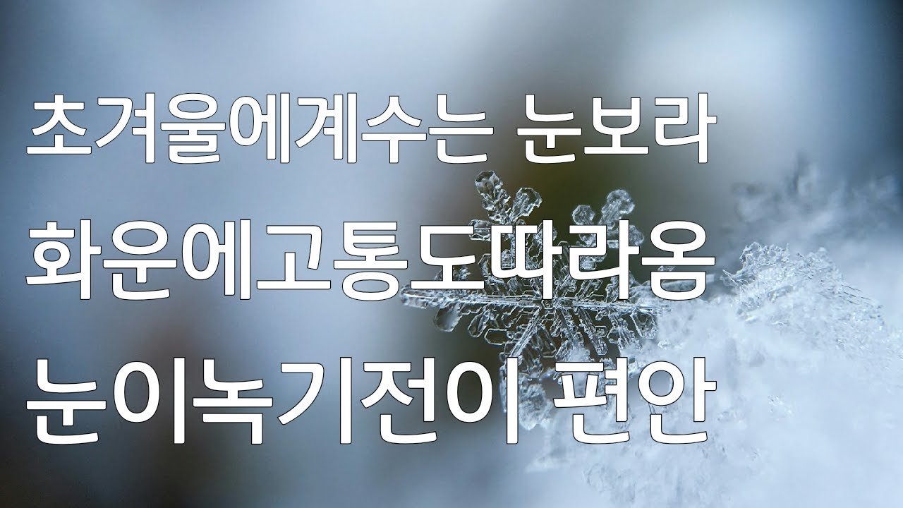 작명사주985강   한난조습의함정이니  꼭확인해야  초겨울에 계수가있을경우 가랑비로 보지말고  눈으로보아야한다