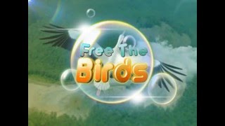 Free The Birds - Interactive Floor Game screenshot 4