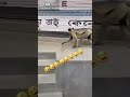 Funny Tjk Tok Video Funny Tjk Tok Video