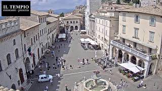 Preview of stream Assisi Live Stream