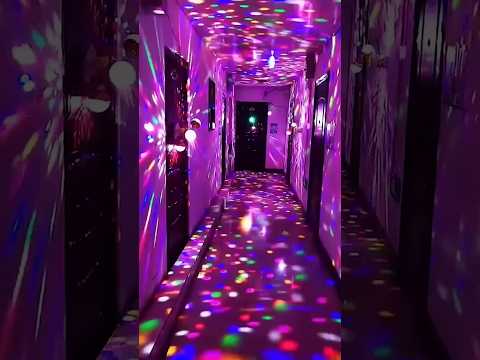 Color light🚨#houselight#light#led#focuslight#fancy#elctrician #shortfeed#viral
