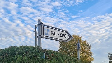 First Global Challenge 2022 experience