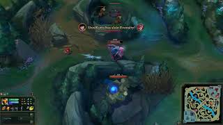 Pro Bard Juke