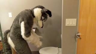 Spirrows Post Parade Emergency