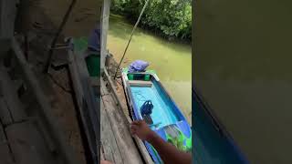 Download Mp3 😱😱 #pond #Kalimantan #crocodile Gudang lagu Download Mp3 😱😱 #pond #Kalimantan #crocodile