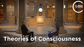 Philip Goff - Theories of Consciousness