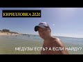 КИРИЛЛОВКА 2020 / ВЛОГ / ОЧЕНЬ ЧИСТОЕ МОРЕ И МЕДУЗЫ