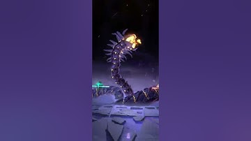 DISLYTE CLARA AND LIN XIAO APEP 10 RUN