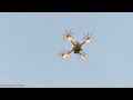 Hissing drone  movr200cp2 fm2104m 1800kv 89mmx8 hqprop fettec aio 35a 6s550 95c