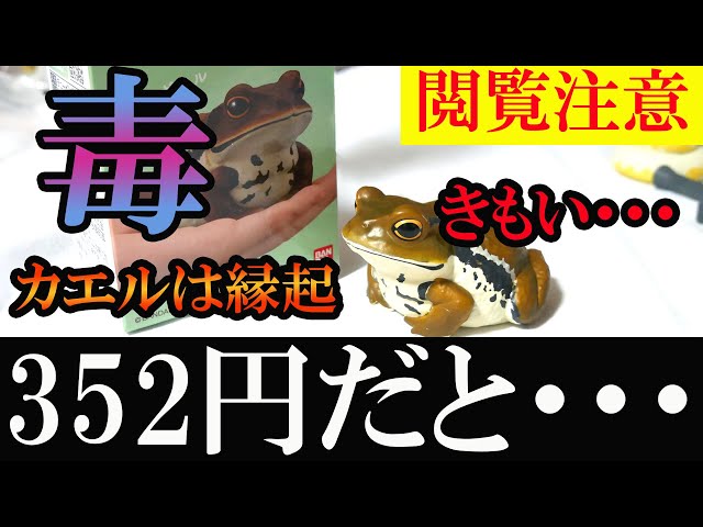 Viewer discretion advised: Disgusting] Tenori Friends 12 Toad