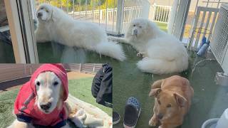 少しずつ距離が縮まってきました　姫様来店