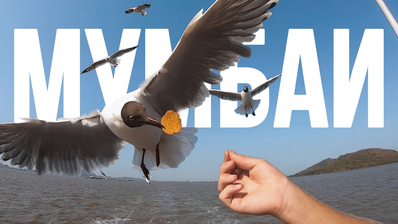 Индийские ДУБАИ! Самый дорогой город Индии! Сколько стоит квартира в ...