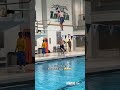 Ravens versus dive contest 😂😂😂