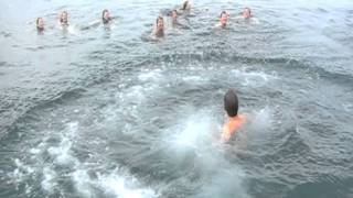 Cécé Kan Niet Mee Olé Olé Ook Gekend Als Justin