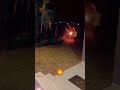 vishu fire 🔥 🧨🧨🎇