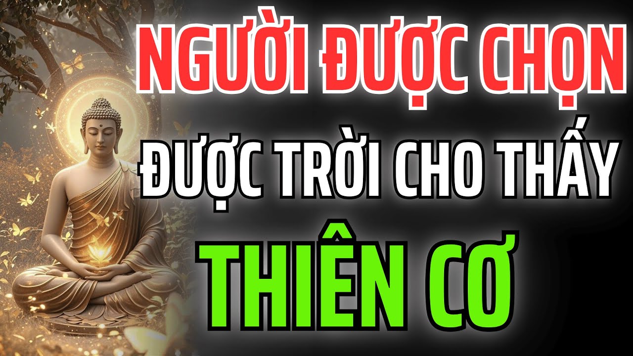 Trí Huệ, Từ Bi và Sự Cô Độc: Ba Điềm Báo Cho Biết Bạn Là Người Được Trời Chọn.