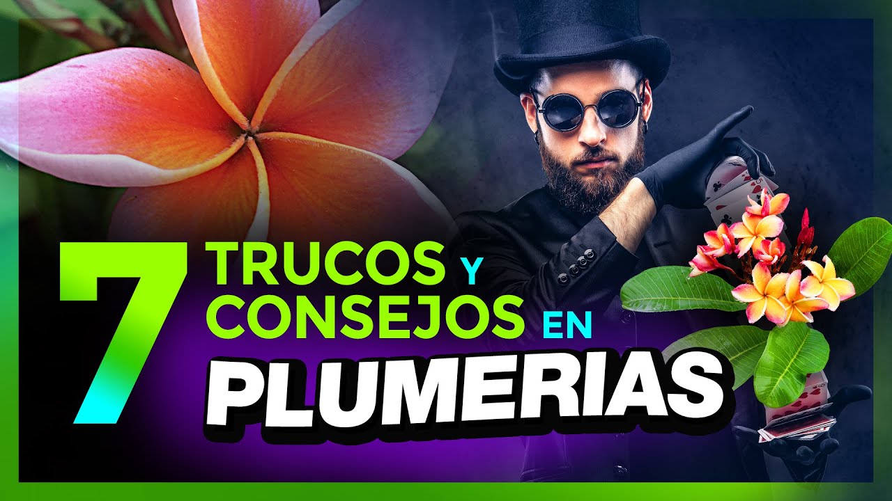 TRUCOS y CONSEJOS ÚTILES para tus PLUMERIAS 😇 🌱 - #plumerias #plumerimax #frangipani