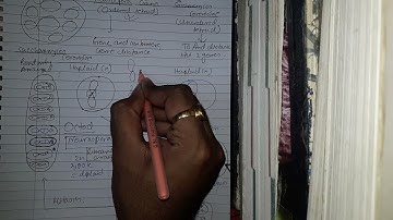 TETRAD ANALYSIS  #CSIRNET #GENETIC #GATE2023