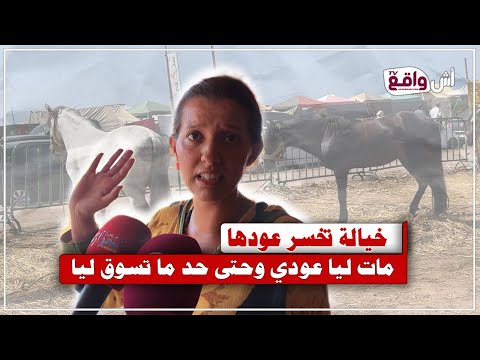 بسبب التهاون خيالة فقدت عودها فموسم مولاي عبد الله وحتى حد ما عقل عليها