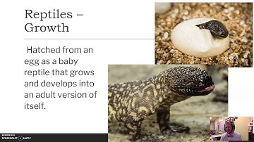 1.2-1 Animal Structure and Function