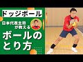 【ドッジボールのコツ】ボールのとり方編！日本代表主将が教えるボールの正しいとり方