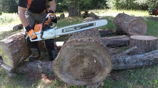 592 STIHL MS 462 CM Chainsaw. Worth The Wait! Let's Spool It Up!! Bucking Logs. outdoors    4K