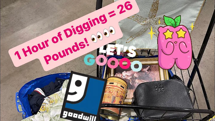 A Goodwill Tragedy! Let’s go To The Goodwill Bins Where You BUY by the Pound! Shopping for Resale!