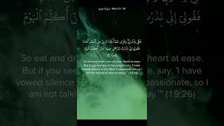 Surah Maryam Recitation by Hani Ar-Rifai #quran #surahmaryam #haniarrifai