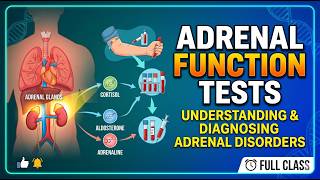 Adrenal Function Tests | Dr. W.Jefferson MD | SGT Thyroid Function Tests Dr W Jefferson Md Sgt