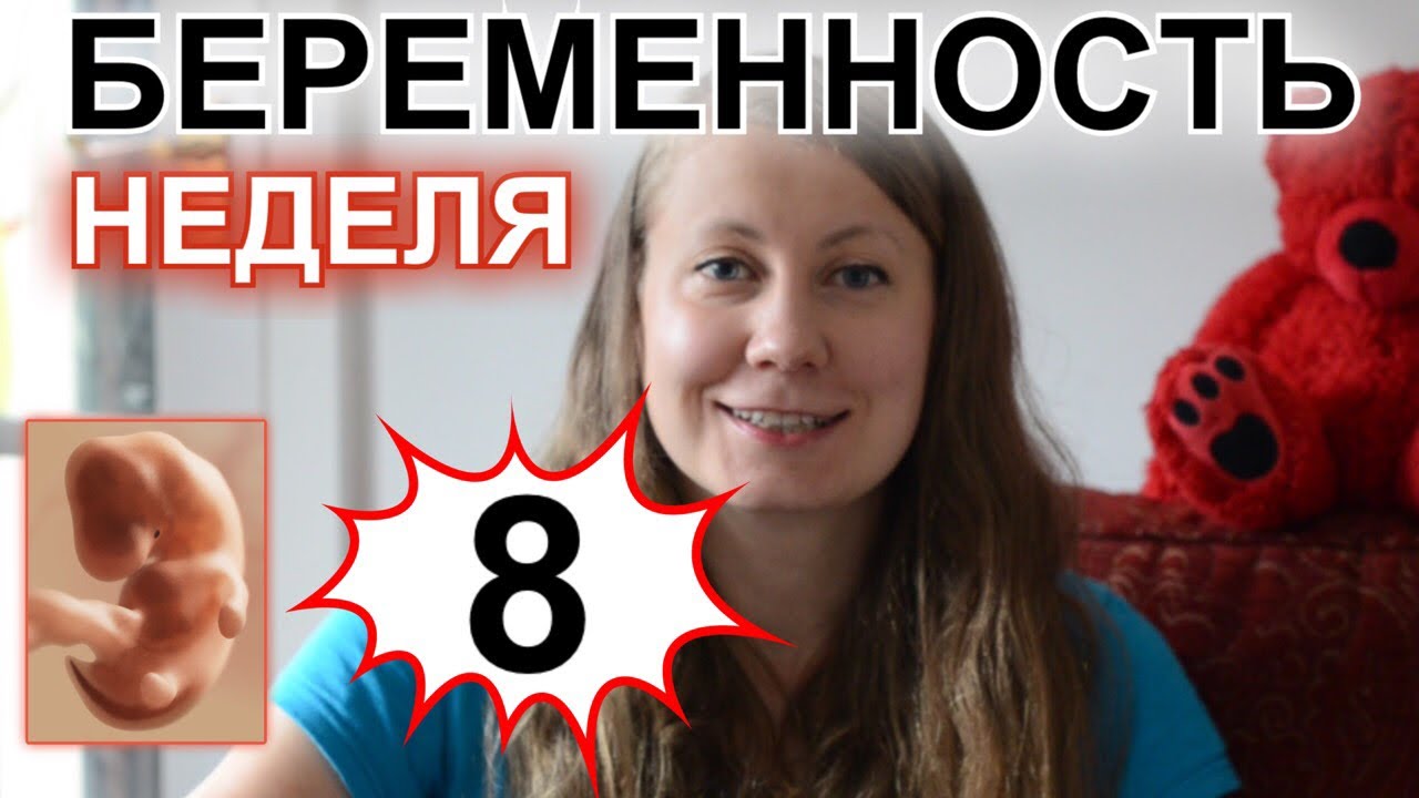 8 Недель беременности развитие.