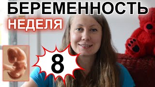 8 НЕДЕЛЬ БЕРЕМЕННОСТИ   БЕРЕМЕННОСТЬ ПО НЕДЕЛЯМ