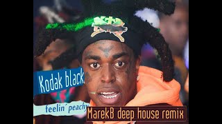 Kodak Black - Feelin ´ peachy (sugardone remix) Net Worth