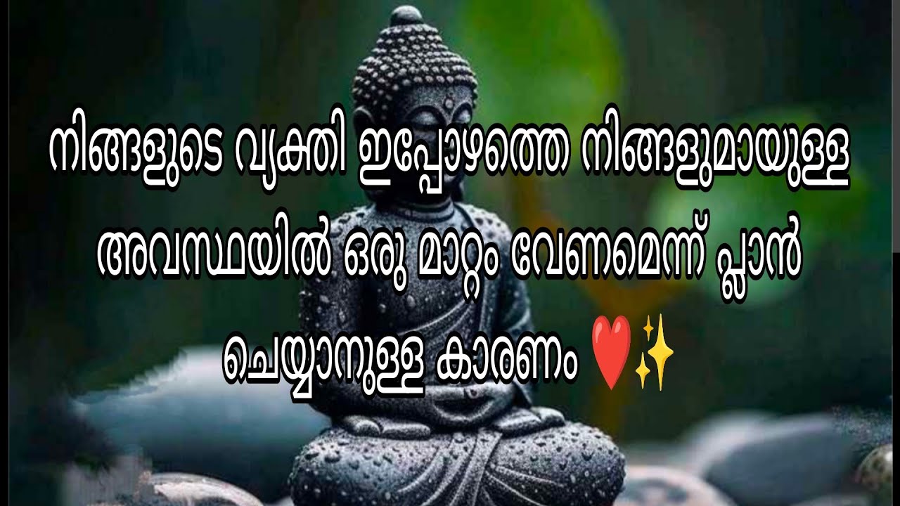 നിങ്ങളുടെ വ്യക്തി ഇപ്പോഴത്തെ നിങ്ങളുമായുള്ള അവസ്ഥയിൽ ഒരു മാറ്റം വേണമെന്ന് പ്ലാൻ ചെയ്യാനുള്ള കാരണം❤️✨