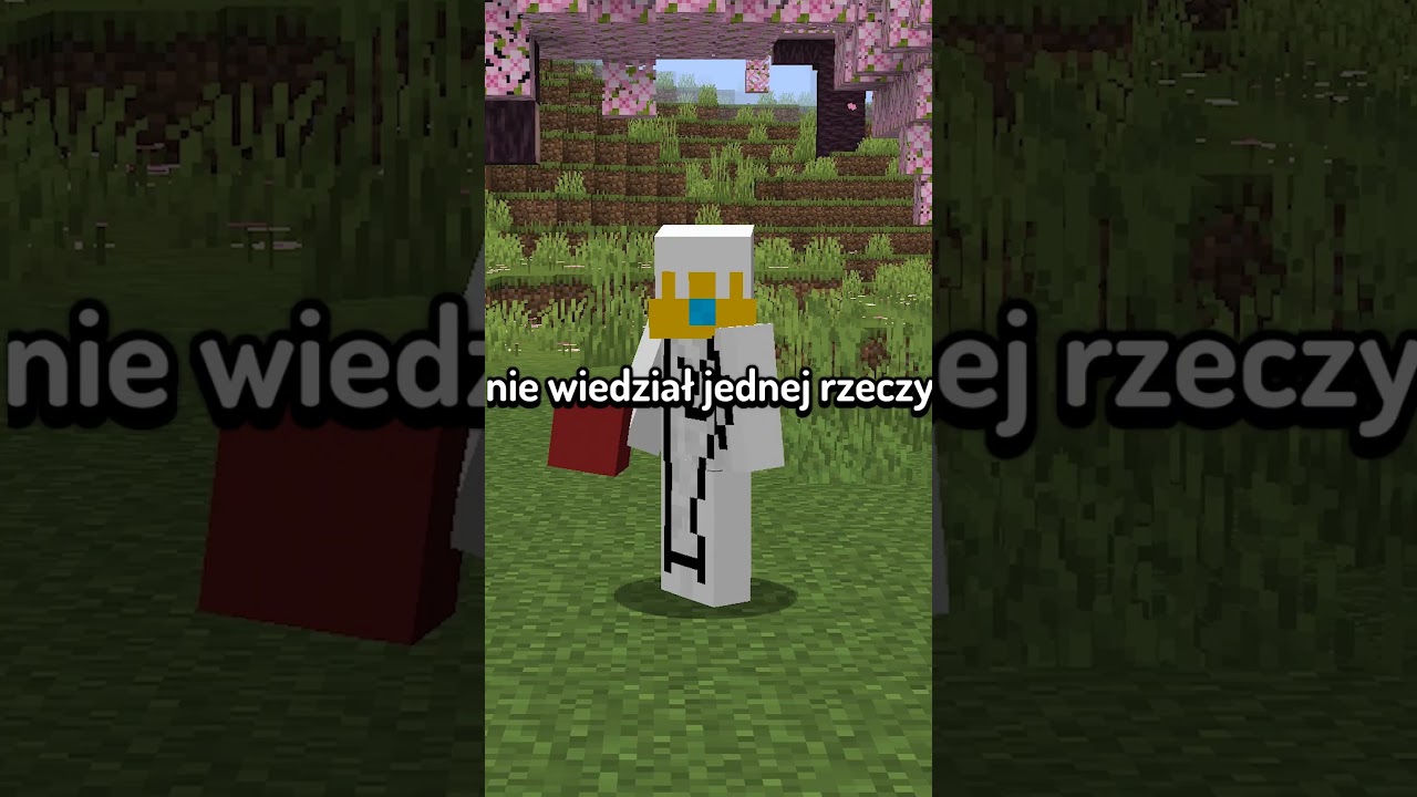 ZŁAPAŁEM HAKERA JAK OSZUKIWAŁ