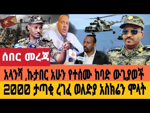 ቪዲዮ: በታንኮች ዓለም ውስጥ ኤርለንበርግ ካርታ-ታሪክ ፣ ችግሮች እና የውጊያ ዘዴዎች