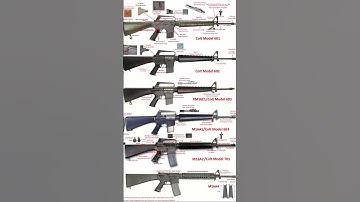 Colt M16 Visual Guide From Drang Valley to Fallujah #AR15 #603 #Xm16 #M16A1 #M16A2 #M16A4