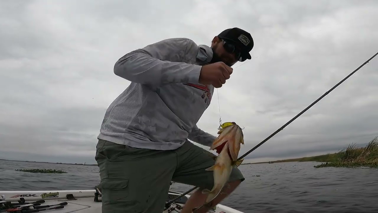 Headwaters bass fishing ( the spawn )