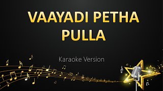 Vaayadi Petha Pulla - Dhibu Ninan Thomas (Karaoke Version)