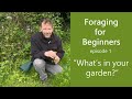 Foraging for beginners episode 1 garden weeds