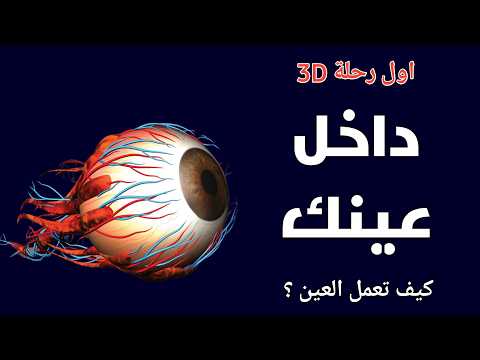 أول رحلة ثلاثية الأبعاد داخل العين البشرية كيف تعمل عينك و ترى العالم دروس طبية