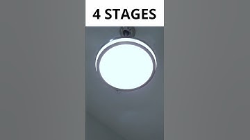 WATCH HOW IT RETRACTS | Relaxing and Soothing