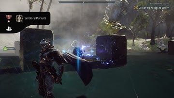 Anthem Scholarly Pursuits Trophy (Complete Matthias