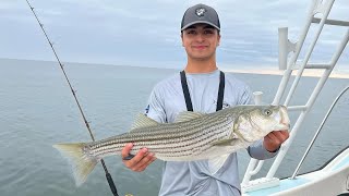 Catching Striper From Boat Using Live Mackerel Plum Island Newburyport