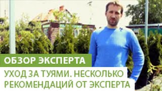 Уход за туями. Несколько рекомендаций от эксперта(В этом видео наш эксперт, расскажет Вам об уходе за туями.Если Вы хотите купить тую, то это можно сделать..., 2014-06-03T07:21:11.000Z)